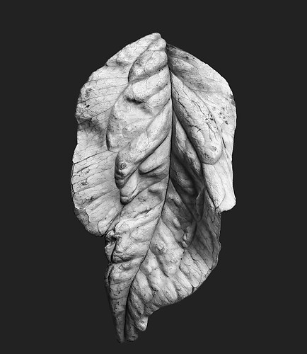 Zweite Schöpfung #146, 2023