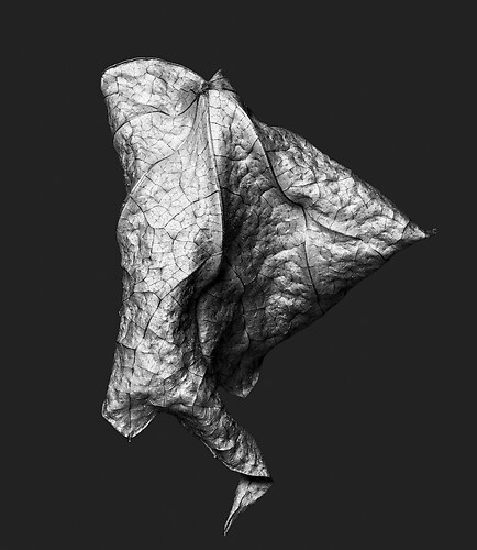 Zweite Schöpfung #171, 2023