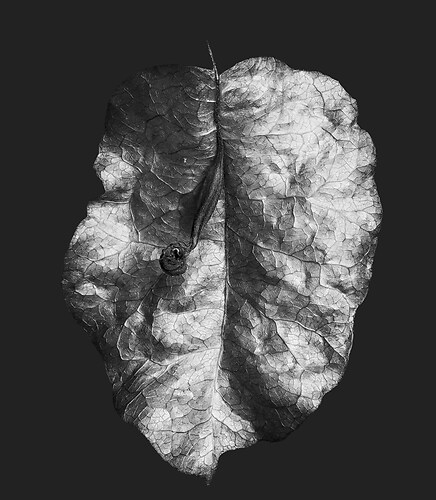 Zweite Schöpfung #49, 2022