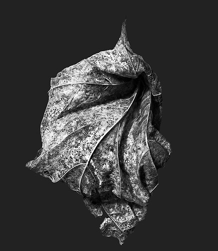 Zweite Schöpfung #77, 2022