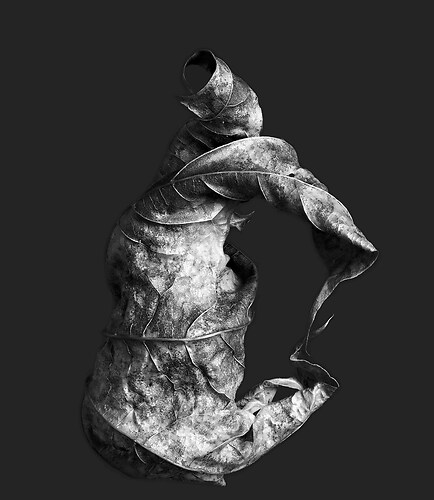 Zweite Schöpfung #60, 2022