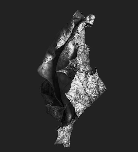 Zweite Schöpfung #136, 2022