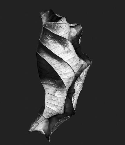 Zweite Schöpfung #121, 2021