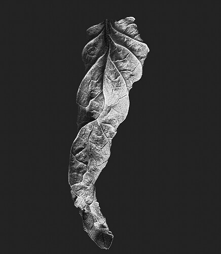 Zweite Schöpfung #190a, 2025