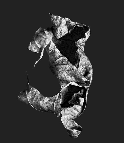 Zweite Schöpfung #47, 2022