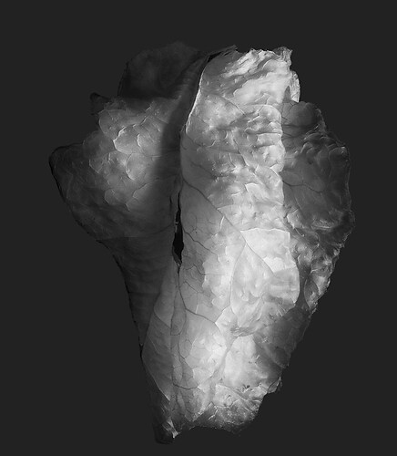 Zweite Schöpfung #52, 2022