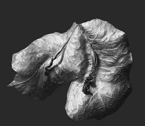 Zweite Schöpfung #73b, 2022