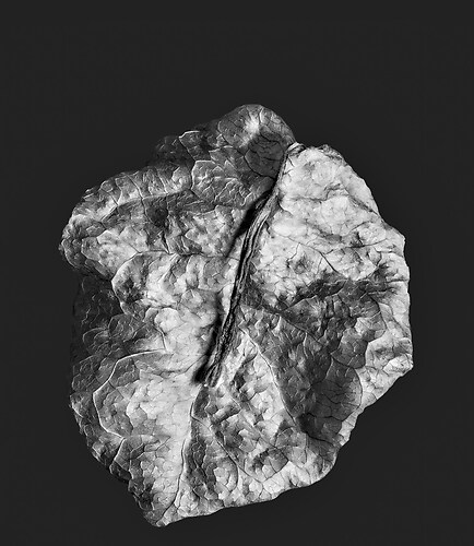 Zweite Schöpfung #20, 2022