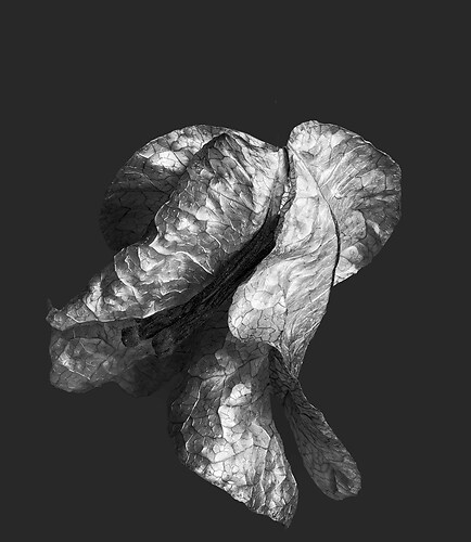 Zweite Schöpfung #117, 2022