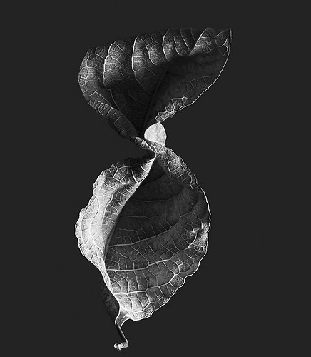 Zweite Schöpfung #90, 2022