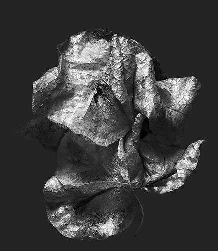 Zweite Schöpfung #62, 2022