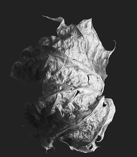 Zweite Schöpfung #181, 2025