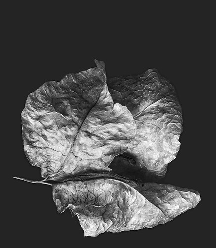 Zweite Schöpfung #31, 2022