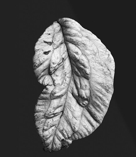 Zweite Schöpfung #148, 2023