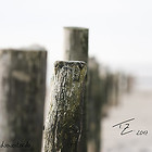 Freie Arbeiten: Landschaft