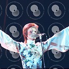 David Bowie