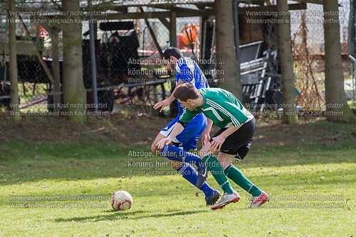 IMG_0248