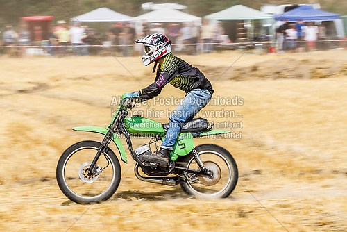 IMG_8650