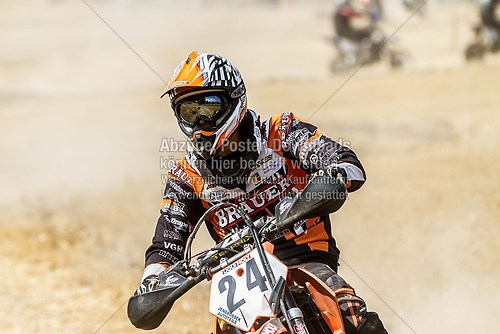 IMG_8601