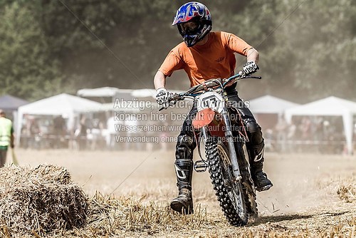 IMG_9117