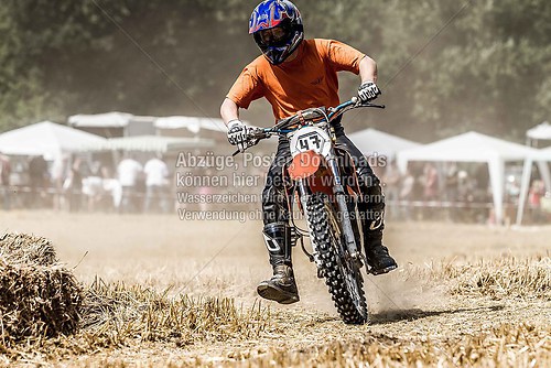 IMG_9115