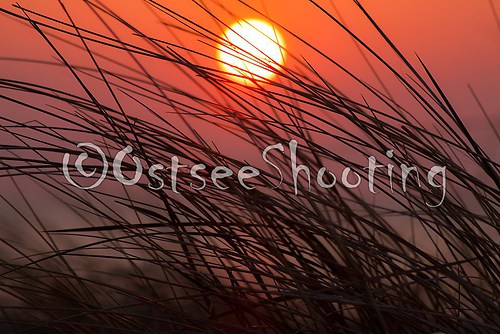 Sundown (© OstseeShooting) (1 von 2)