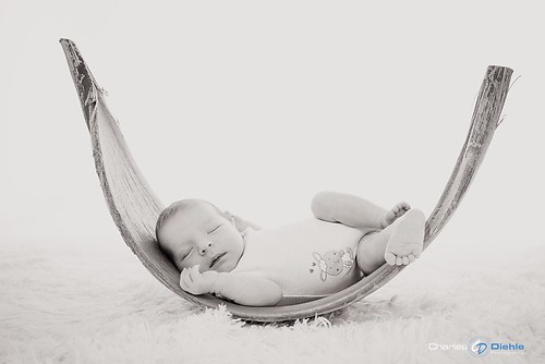 1DX_7701 (2014_08_09 10_41_57 UTC)