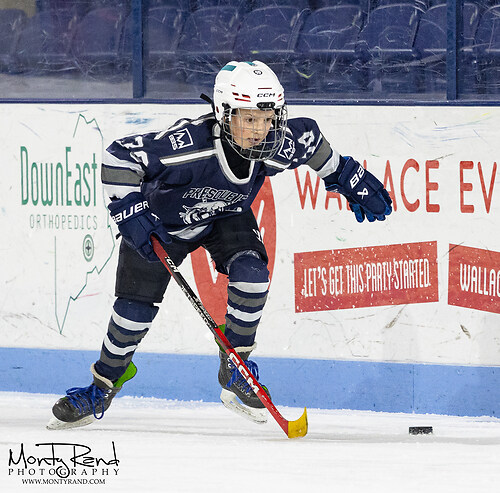 Presque Isle v Brewer-1305