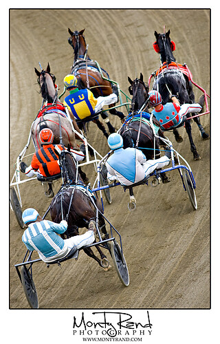 Harness racing 8164