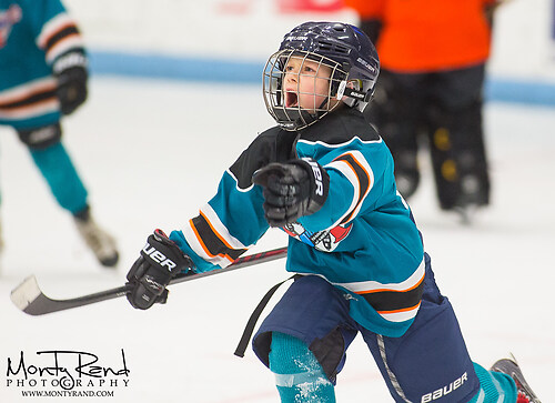 Brewer v Micro Ice 9923