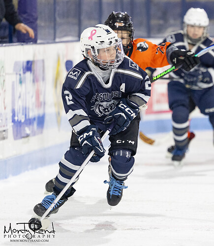 Presque Isle v Brewer-725