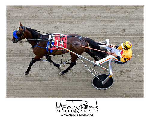 Harness racing 4175