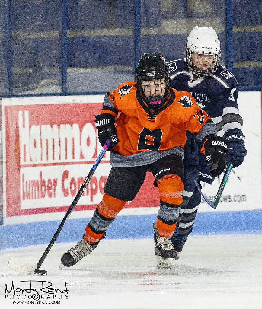 Presque Isle v Brewer-762