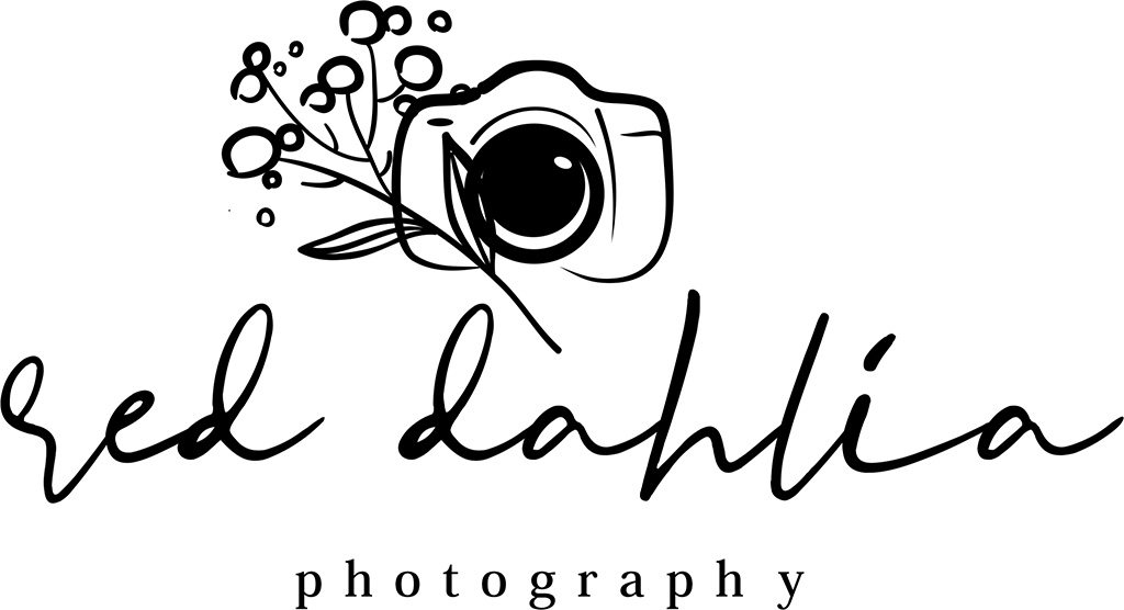 Red Dahlia Photography