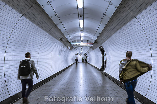 DSC_6453-ps