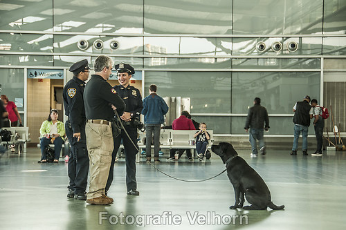DSC_31171-ps