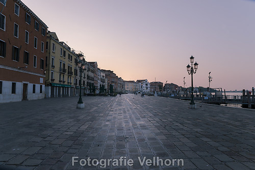 DSC_71471-ps
