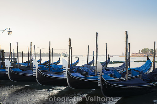 DSC_71651-ps