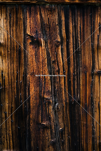 Holz rustikal (20100903_IMG_6435)