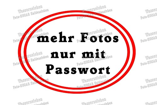mehr Fotos nur mit Passwort