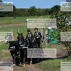 Fahrturnier 2017