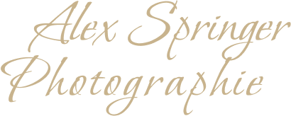 Alex-Springer.com