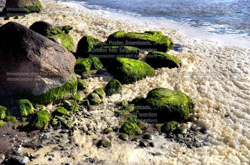 natur_18
