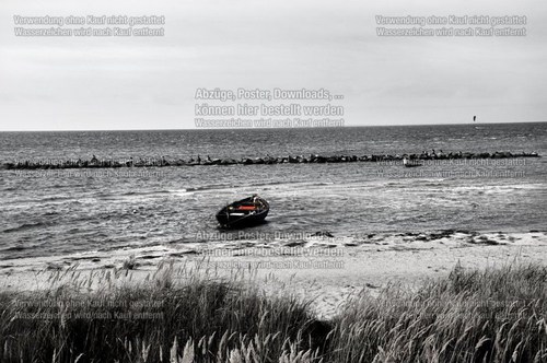 natur_20