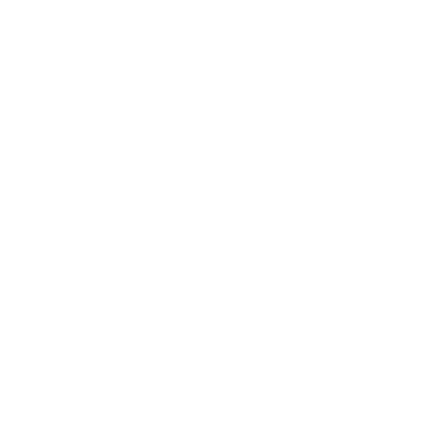J. Aleksandr Photography