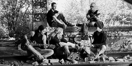 Ironrose (IR_SW_12_A)