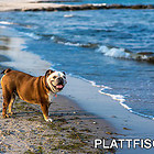 Frau Lehmanns private Impressionen