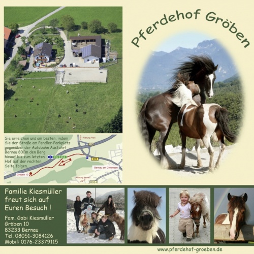 Pferdehof Groeben-Bernau
