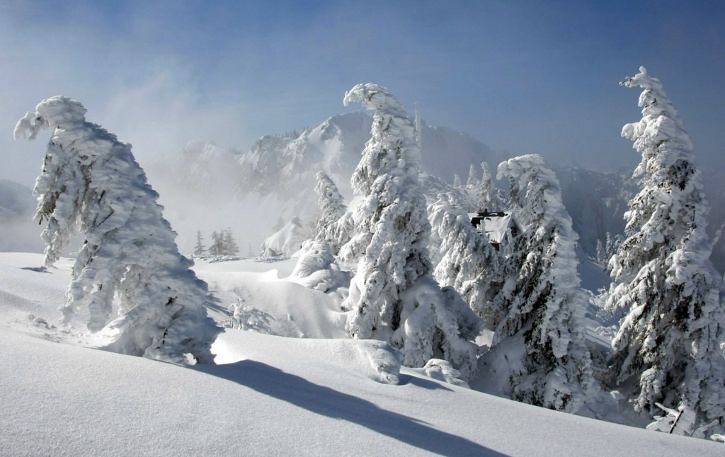 Winterlandschaft  Kampenwand -01-0209