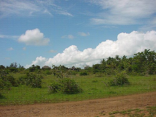 DSC03044